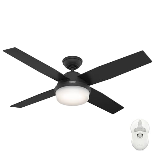 Hunter Hunter Dempsey ceiling fan